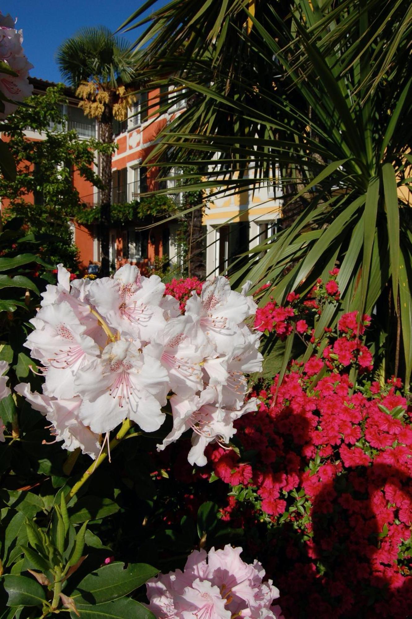 Casa Concerto B&B บริสซาโก ภายนอก รูปภาพ